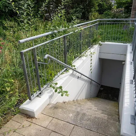 Strandhaeuser Lindenstrasse Grasnelke *